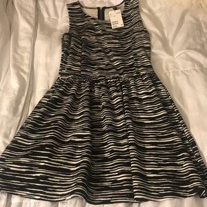 BNWT Black & White above the knee Dress